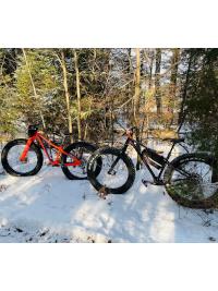 2 Fat bikes in woods